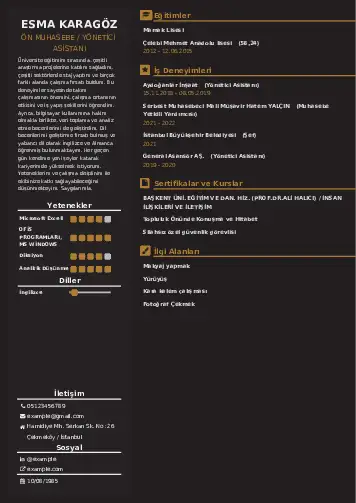 Yönetici Asistanı Cv Örnekleri cv indir